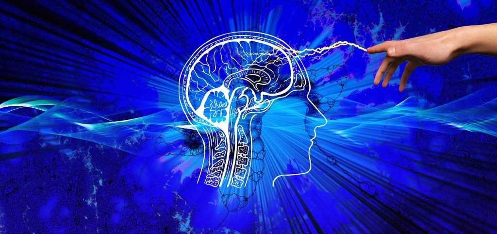 B.Sc Psychology